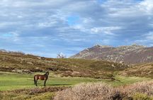 guided ride on the Plateau du Coscione by electric mountain bike