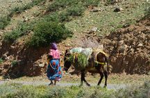 Full-Day Private Atlas Mountains and Agafay Desert Tour