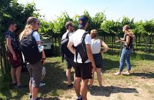 Amarone Wine Tour