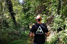 Hiking Experience in Asturias, from Gijón or Oviedo