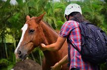  Premium Tour: Rincón de la Vieja Volcano Adventure Combo Tour