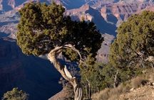 Private Custom Grand Canyon Tours