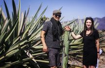 Artisanal Mezcal distillery in an authentic Zapotec village 