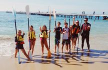 Mornington Peninsula Kayak Coastline Tour of Dolphin Sanctuary