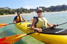Mornington Peninsula Kayak Coastline Tour of Dolphin Sanctuary