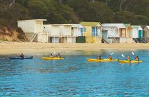 Mornington Peninsula Kayak Coastline Tour of Dolphin Sanctuary