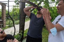 Wine Tasting Tour in Georgia's Cradle of Wine