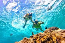 Catamaran Snorkeling to El Cielo and The Money Bar Beach Club