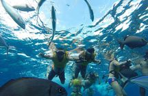 Catamaran Snorkeling to El Cielo and The Money Bar Beach Club