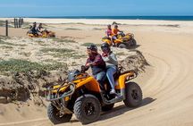 Adventure in Los Cabos Margaritas beach in ATV/UTV desert tour 