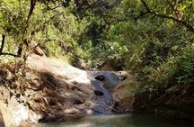 Private Menagesha Suba Forest Hiking and Sightseeing Tour