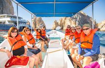 Glass Bottom Boat in Cabo San Lucas, free time in Playa del Amor 