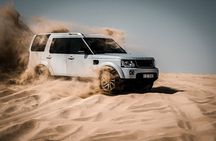 Dubai Desert Afternoon Safari with Camel Ride, BBQ Dinner, and Belly Dancing