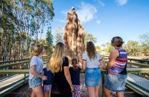 Litchfield National Park Waterfalls & Wildlife Adventure Tour