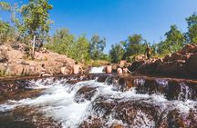 Litchfield National Park Waterfalls & Wildlife Adventure Tour