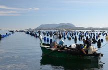 Gulf of Olbia Boat Tour