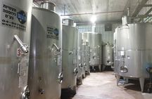 Private Israeli Wines Tour of the Central Israel 