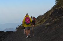 Private Tour One Day Hike - Pacaya Volcano from Puerto Quetzal