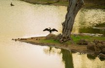 Yala National Park Private Safari Tour