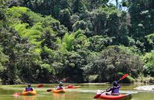 2-Day Kayaking Adventure in the Amazon