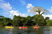 2-Day Kayaking Adventure in the Amazon