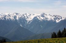 Private Olympic National Park Day Tour from Seattle