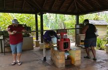 Appleton Estate Rum Tour and Pelican Bar Customize Tour
