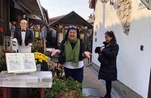 Balaton lake, a private trip with guide!