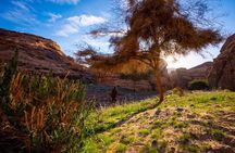 Journey Through Time Hike