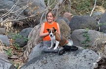 Sedona & Oak Creek Canyon 2-Hour Private Tours 