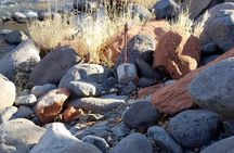 Sedona & Oak Creek Canyon 2-Hour Private Tours 