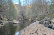 Sedona & Oak Creek Canyon 2-Hour Private Tours 