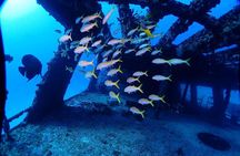 SPECIAL!! 2 Tank Wreck & Drift Reef dives