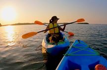 Kayaking the Canals of Venice, FL
