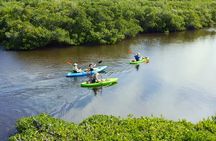 Kayaking the Canals of Venice, FL
