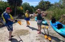 Kayaking the Canals of Venice, FL