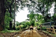 Combo Zipline, ATV and Waterfalls Tour from San José