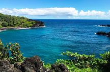 Road to Hana Private Jungle Tour with Lahaina Side pick up