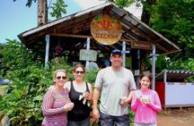 Road to Hana Private Jungle Tour with Lahaina Side pick up