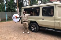 1 Day Tanzania Wildlife Safaris in Tarangire National Park