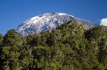 Mount Kilimanjaro Climbing in Tanzania Full-Day Trip 