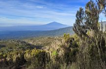 Mount Kilimanjaro Climbing in Tanzania Full-Day Trip 