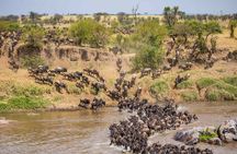  5 Days Tanzania Safari Great Wildebeest Migration 