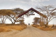  5 Days Tanzania Safari Great Wildebeest Migration 