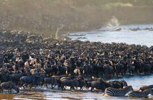  5 Days Tanzania Safari Great Wildebeest Migration 
