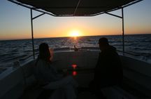 San Jose del Cabo Small-Group Sunrise Whale Watching