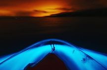Cocoa Beach Clear Kayaking Bioluminescent Night Tour