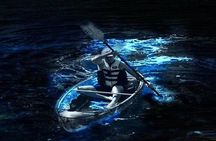 Cocoa Beach Clear Kayaking Bioluminescent Night Tour