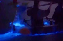 Cocoa Beach Clear Kayaking Bioluminescent Night Tour