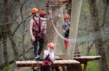 Daniel Boone's Challenge: an Adventure in the Trees